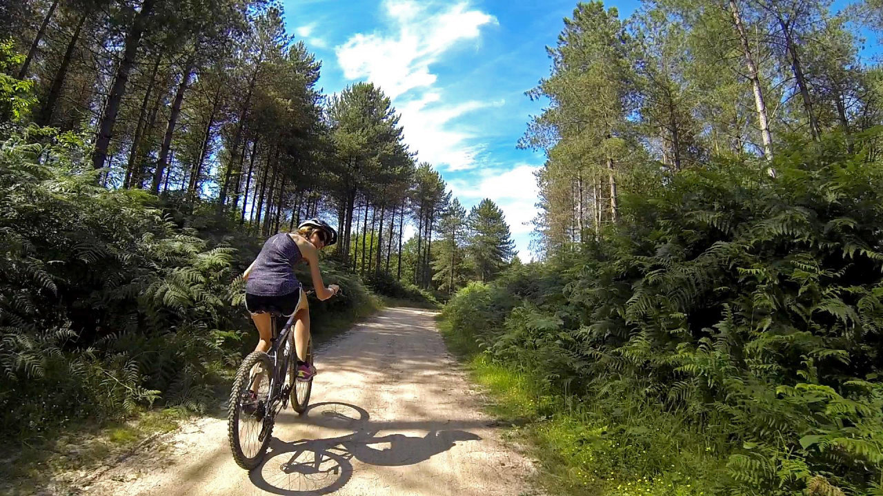 Đạp xe dã ngoại